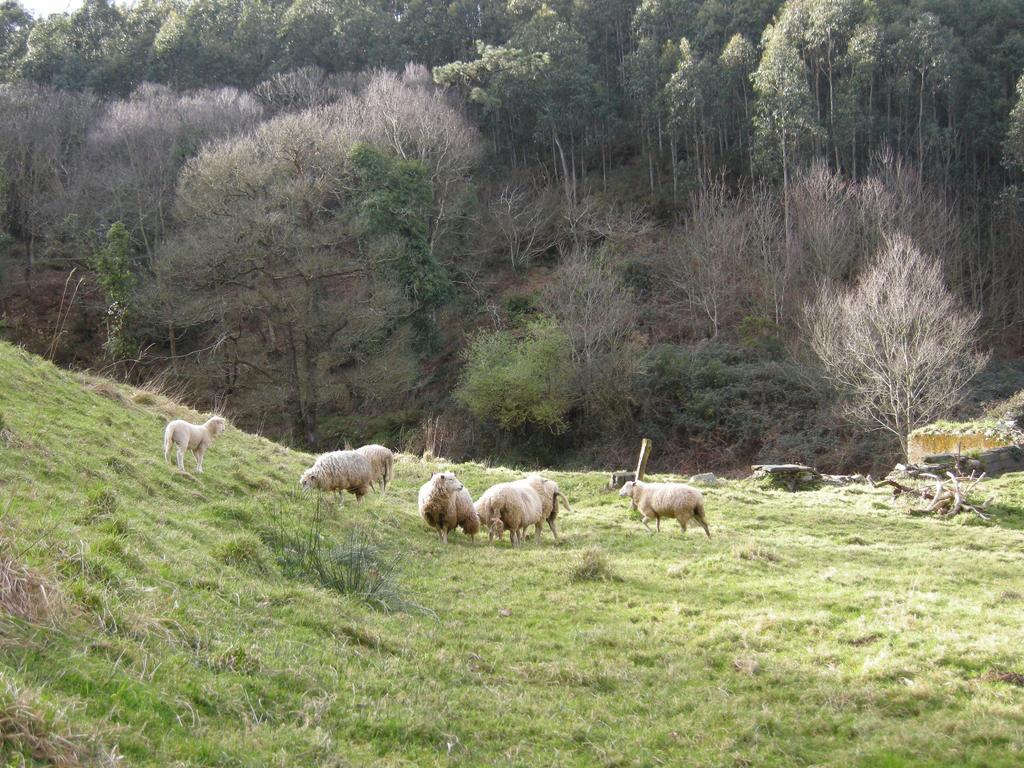 Finca Portizuelo Luarca Exterior photo